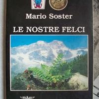 MARIO SOSTER   -   LE NOSTRE FELCI