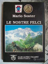 MARIO SOSTER   -   LE NOSTRE FELCI