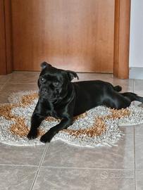 Zeus