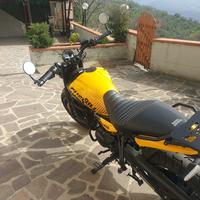 guerrilla 450 yellow ribbon