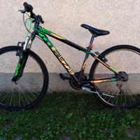 bicicletta