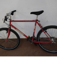 MTB vintage acciaio telaio e forcella