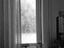 Immagine 20