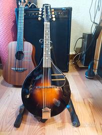 Mandolino folk Kentucky KM-150