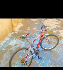 bicicletta 24