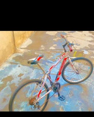 bicicletta 24
