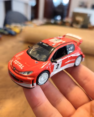 Peugeot 206 WRC Rallye Montecarlo 2003,  1/43 