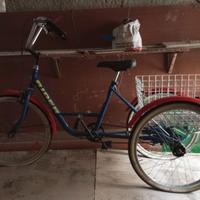 bicicletta. a tre ruote 