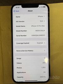 iPhone 12 pro max 256