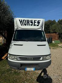Camion traposto cavalli