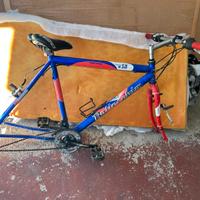 Bottecchia