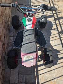 mini quad
