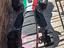 Immagine 1