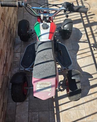 mini quad