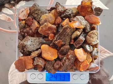 247g Ambra del baltico + Bonus