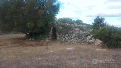 terreno agricolo con trullo 