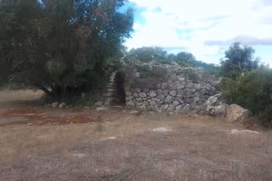 terreno agricolo con trullo 