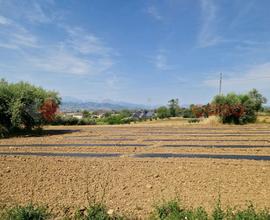 Terreno Residenziale Morro d'Oro