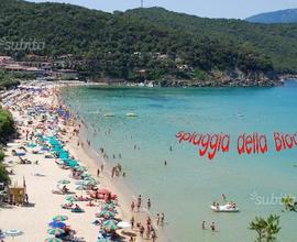 Isola d'Elba20 metri dalla spiaggia della Biodola