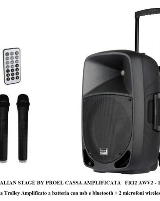 Cassa Portatile  Bluetooth + 2 Microfoni - NUOVA