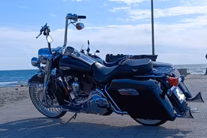 HARLEY DAVIDSON ROAD KING 1450 - ANNO 2005