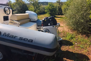 Marsea SP90