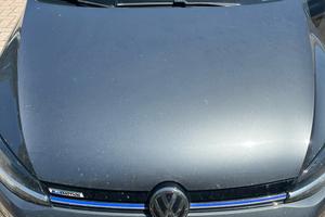 Volkswagen golf 1.4 tgi 5p. executive
