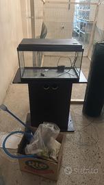 Acquario 50 lt