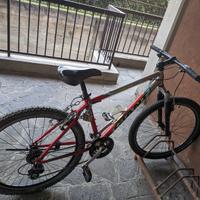 bicicletta mtb