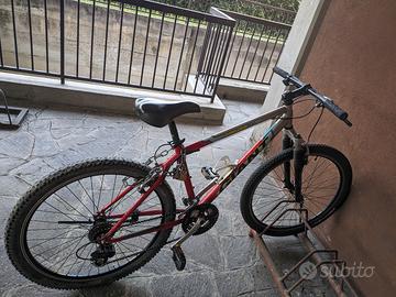 bicicletta mtb