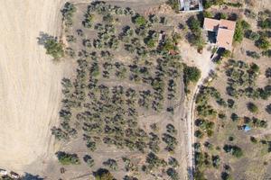 Villa panoramica con oliveto