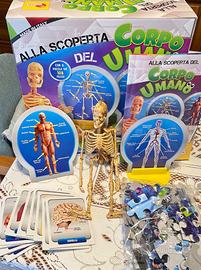 Alla scoperta del corpo umano (Lisciani)