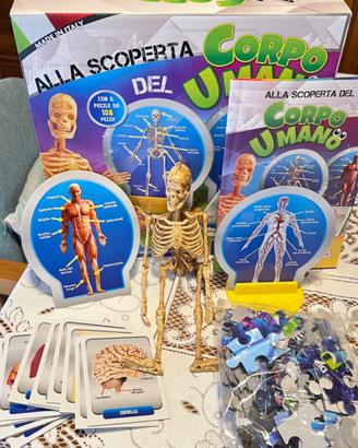 Alla scoperta del corpo umano (Lisciani)