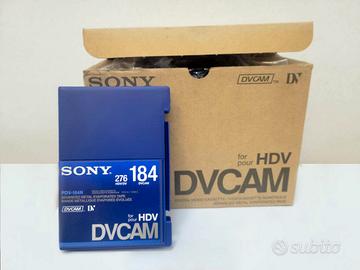 10 Cassette DVCAM 184