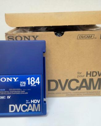 10 Cassette DVCAM 184