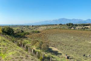 Tenuta per cavalli