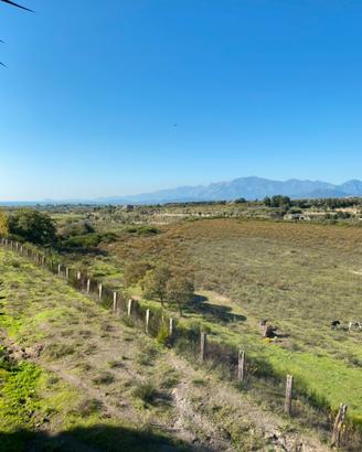 Tenuta per cavalli