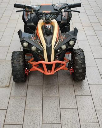 Quad elettrico