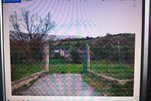 Terreno agricolo