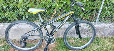 Bottecchia