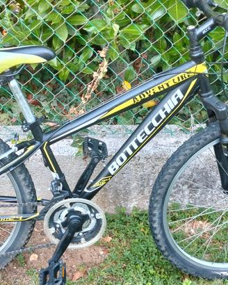 Bottecchia