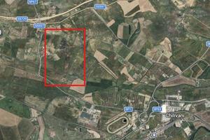 Terreno agricolo