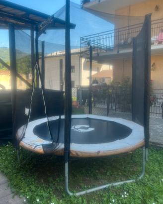 Trampolino elastico 244 cm
