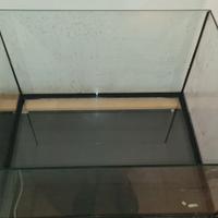 Tartarughiera in Vetro