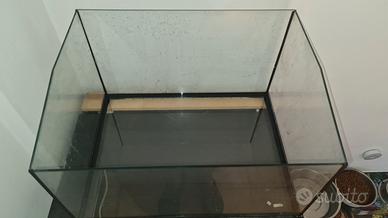 Tartarughiera in Vetro