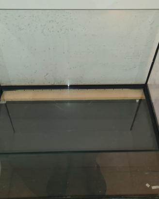 Tartarughiera in Vetro