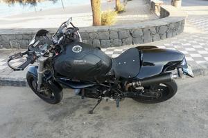 Ducati monster