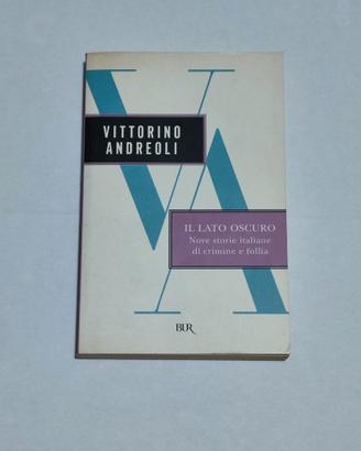 IL LATO OSCURO