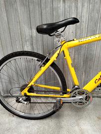 Bicicletta tedesca ammortizzatori