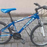 Bici MTB Parma